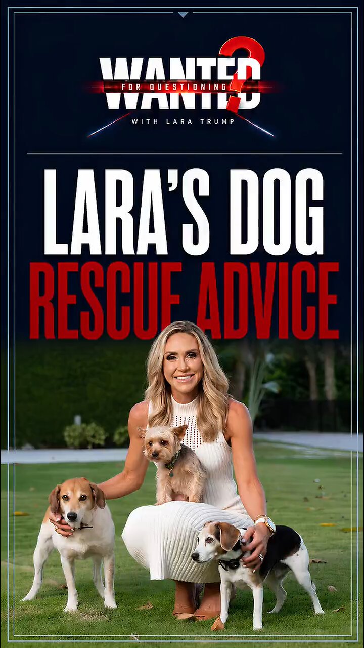 I Want to Rescue a Dog! 🐶❤️ thumbnail