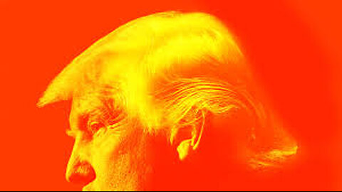 THE ORANGE MAN