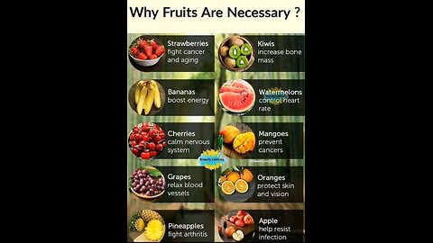 Why Fruits Are Necessary for a Healthy Life | E7DIGITAL TV