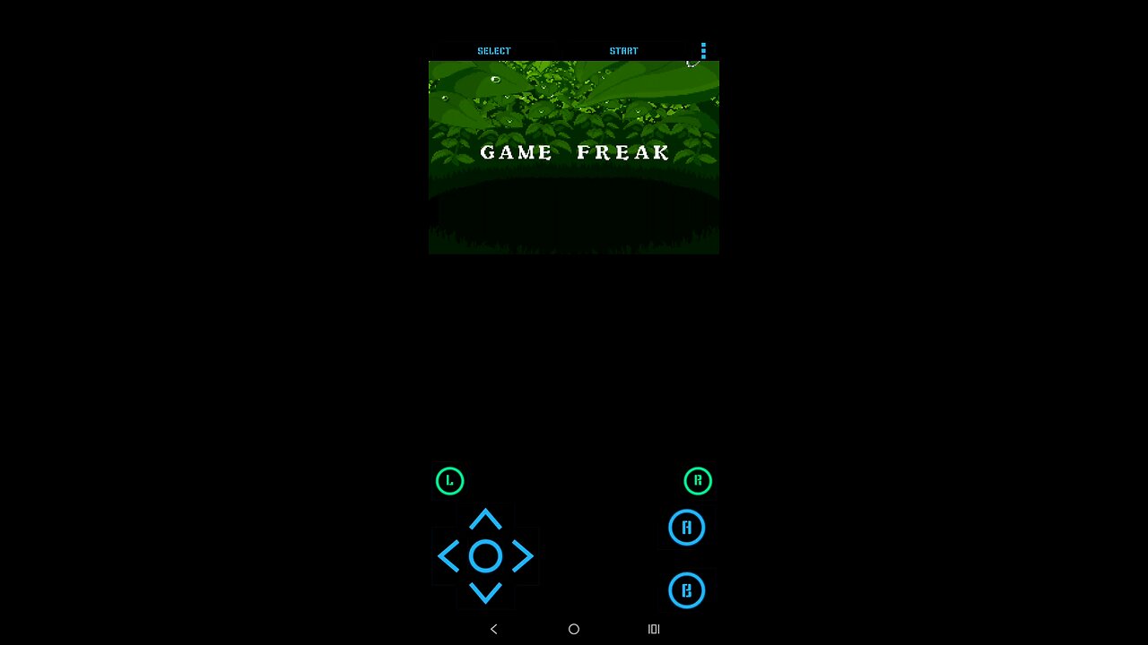 Pokémon Emerald part 1 | Roxanne