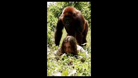 a wild monkey and the daughter of a king