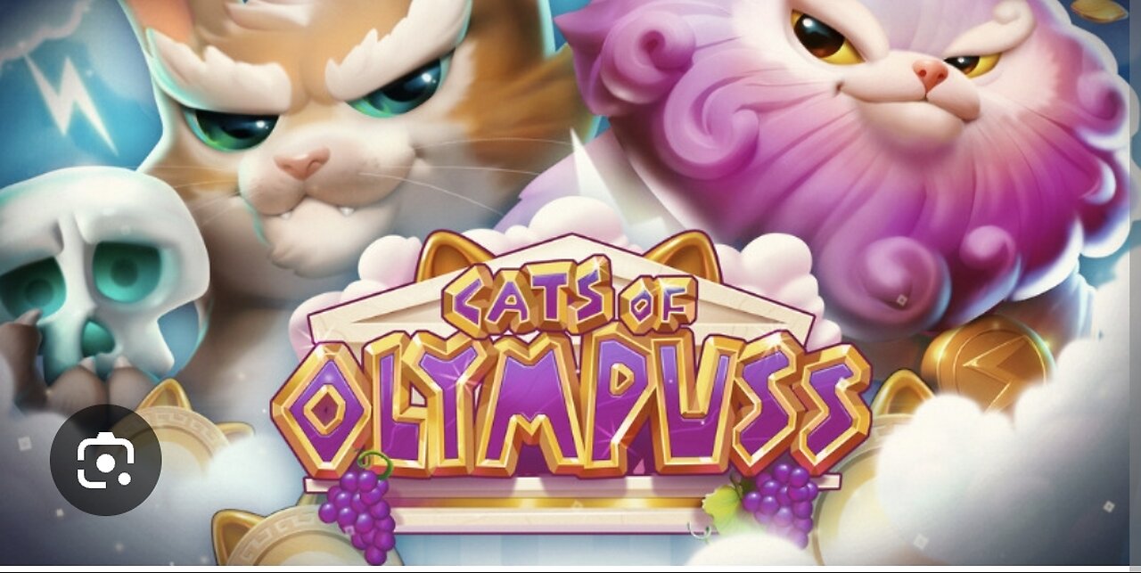 CATS OF OLYMPUS PUSH GAMING