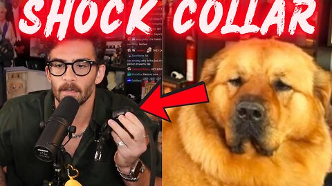 Did Hasan Piker Just SHOCK His Dog LIVE on Stream?!