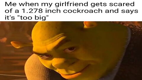 Daily Memes 029