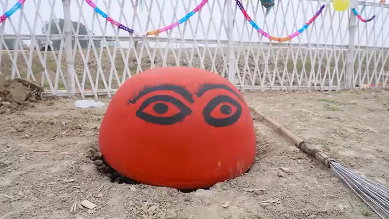 top Amazing Funny Video 2025