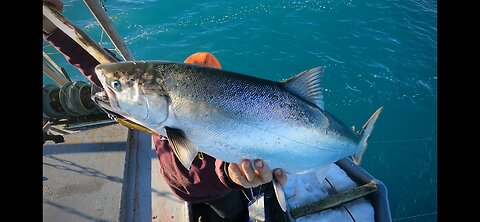 Commercial Fishing Hook And Line Alaska Unedited