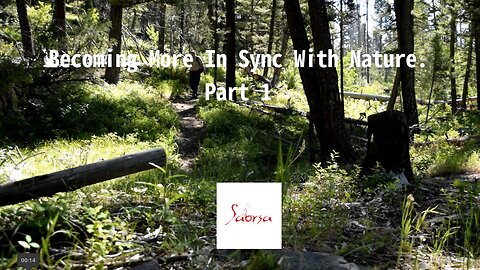 Becoming More In Sync With Nature. Part 1