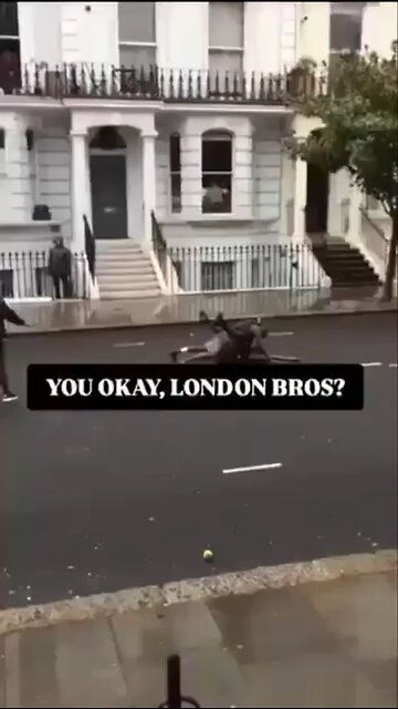 🇬🇧London is a city of contrasts.