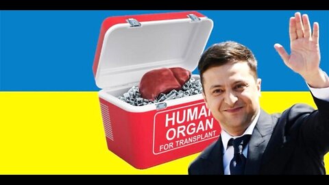 The Daily Nationalist 02-05-26 : Ukraine Organ Harvesting