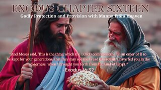 Exodus Chapter 16 Bible Study: Manna and the Journey from Elim