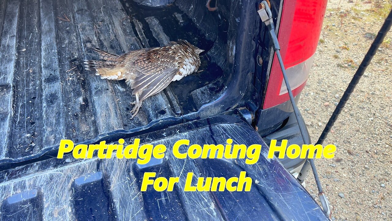 Mr. Partridge Came To Lunch