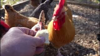 Share what you love (but not too much or too often): cheesecake.