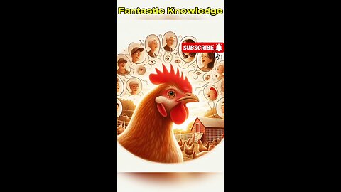 35. Chikens are smart #animation #ai #knowledge #smart #chiken #image #animals #storytelling