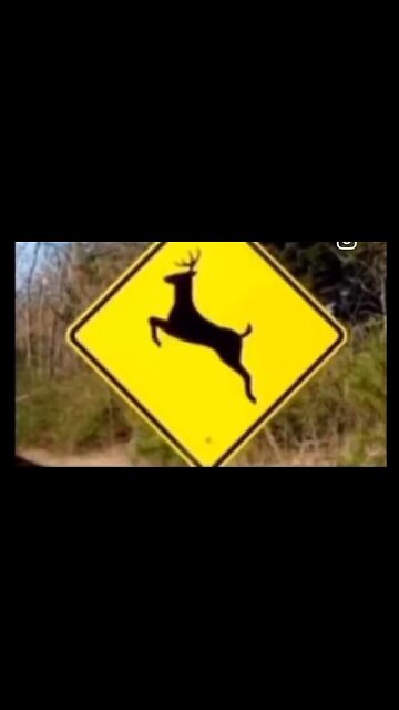 This Lady Was Dead Serious