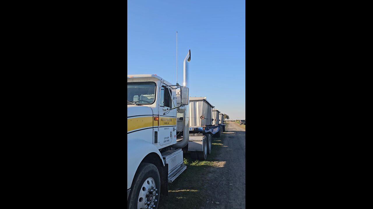 New Exhaust Grape Haul'n'