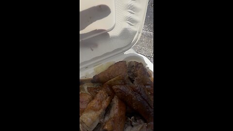 Duck and White Rice