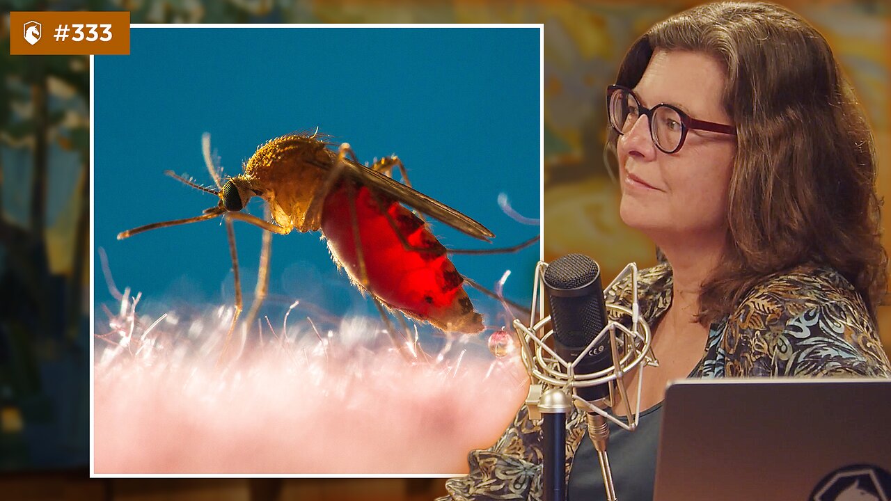How to Avoid Mosquitoes Without DEET | DarkHorse 334 thumbnail
