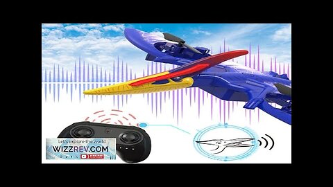 Funsky Pterodactyl Flying Simulation Sound 2.4G Altitude Hold Headless Mode LED EVA Review