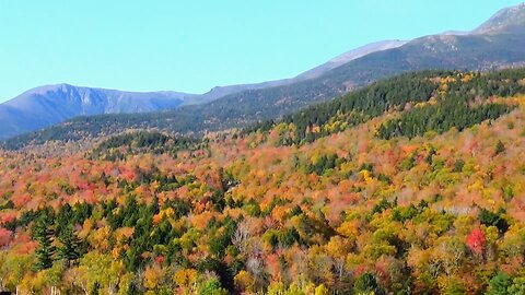 Fall Foliage