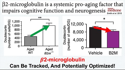 Beta-2-Microglobulin Is Bad For Neurogenesis: What's My Data? (6-Test Analysis)