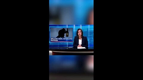 Raccoon Detained by Raccoon Police – Breaking News Parody