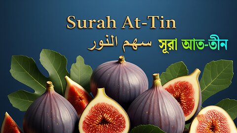 Surah At-Tin (سورة التين) Recitation | Heart-Touching Quran Tilawat | সূরা আত-তীন (95)