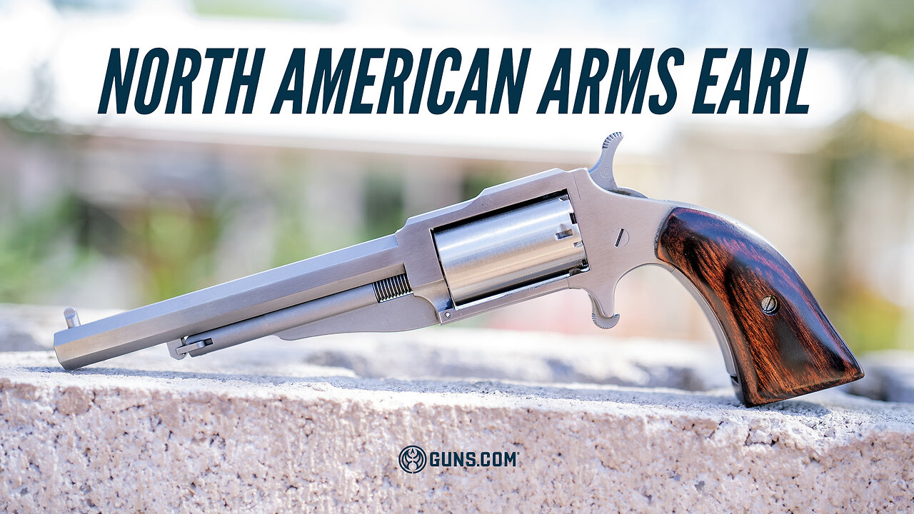 The Earl: Review of NAA’s Distinguished Backup Boot Gun