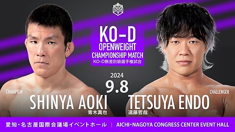 Shinya Aoki Vs Tetsuya Endo (DDT Friendship, Effort & Victory 2024) Highlights