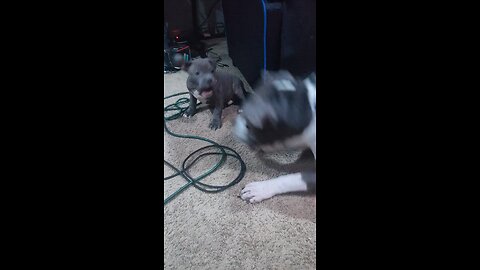 FATHER AND SON PLAYING