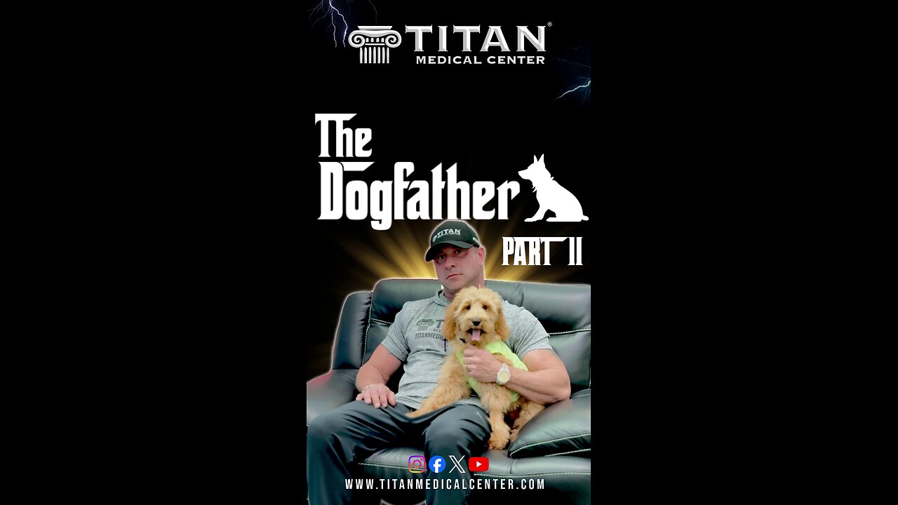 The DogFather Part 2 with John Tsikouris