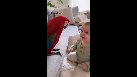 Pure happiness in one frame! 🦜👶💚 When a baby meets their new talking best friend the laughter
