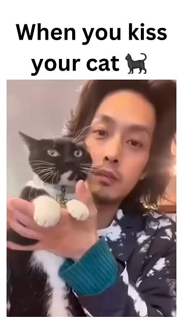 When you show love, but your cat shows attitude 😾💋 The struggle of kissing royalty! 🐾👑