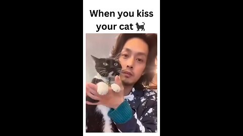 When you show love, but your cat shows attitude 😾💋 The struggle of kissing royalty! 🐾👑