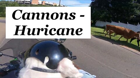 Hurricane - Cannons