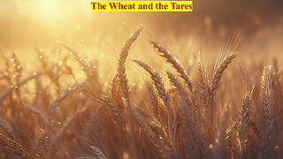 WHEAT AND TARES - Dr Conrad Vine