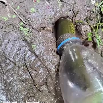 Fascinating fishing technique!