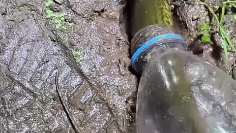 Fascinating fishing technique!