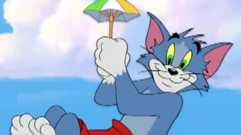 Tom and jerry cartoon