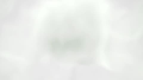 Minnesota - Washington State - Fraud Uncovered! Who's Next?