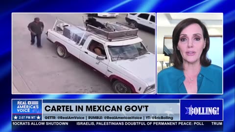 SHEINBUAM PROTECTS THE CARTEL