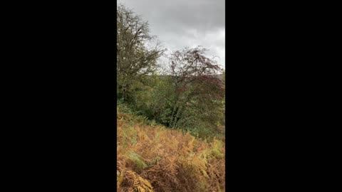 Why Freedom Isn't Free