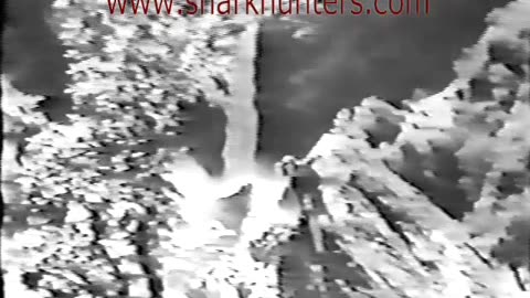 D110. Das Blaue Licht1