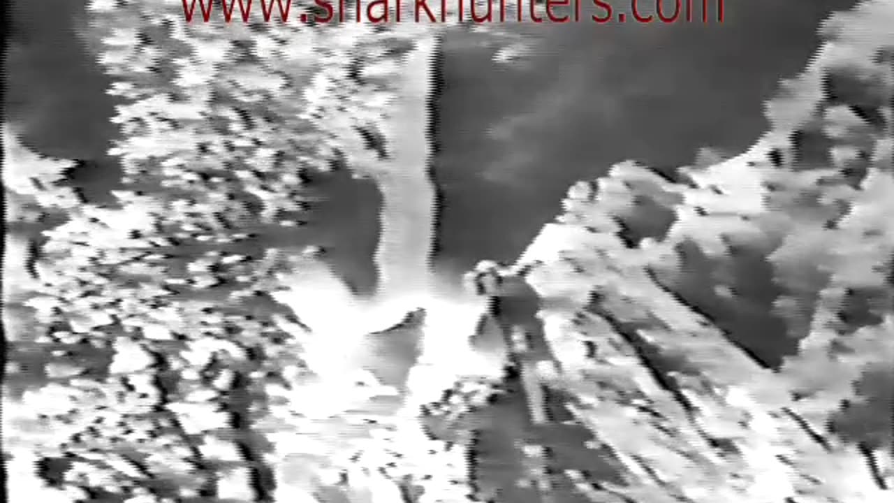 D110. Das Blaue Licht1