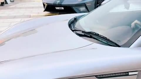 🏎️💨 Dubai's Luxury Cars in Action - PURE Performance! | LuxurySportsCars