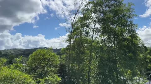 Eddy Rodriguez Condos for Sale | Bitcoin Guaranteed Financing