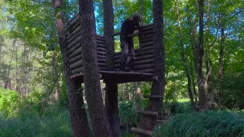 Building a cozy bushcraft treehouse over the water, Catch and Cook, Overnight, Survival