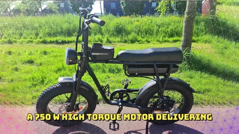TOURWHEEL T6 Electric Bike 750W Motor 48V 18.2Ah Battery 20*4.0 inch Fat Tire Electric Bike