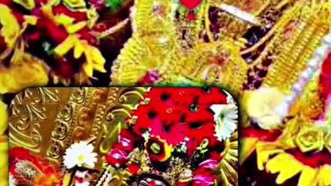 WhatsApp status meldi ma trading song viral video
