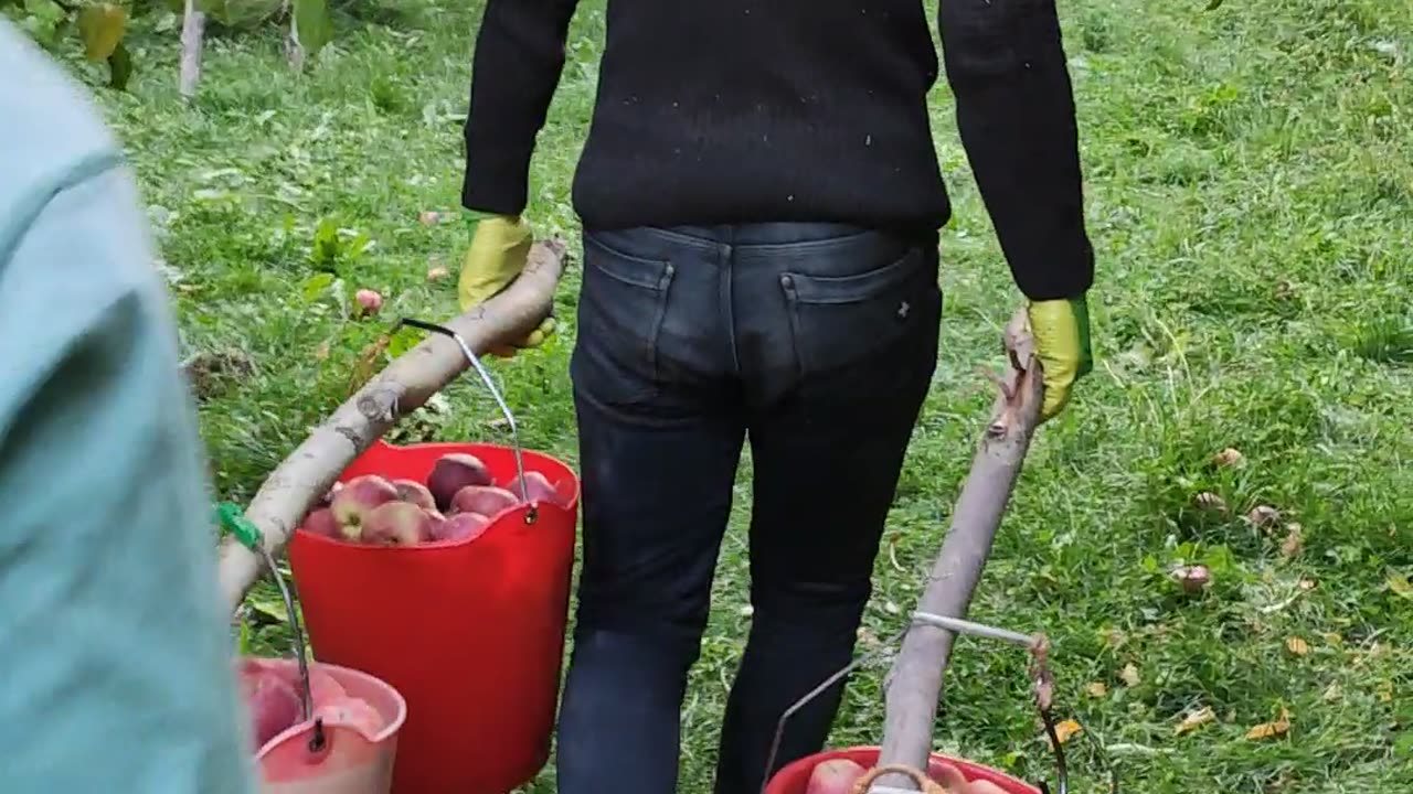 Hard Working Routine Days in Iran Villages