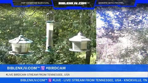 BIBLENKJV.COM™ 🛐 10/11/2025 #LIVE #WEATHER #KNOXVILLE